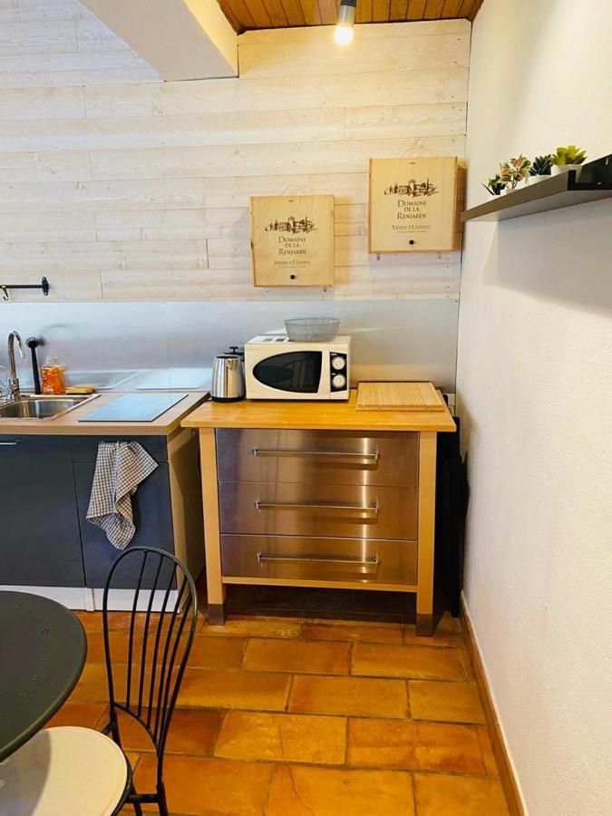 Studio Ile De La Barthelasse A Deux Pas Du Centre Avignon Exterior foto