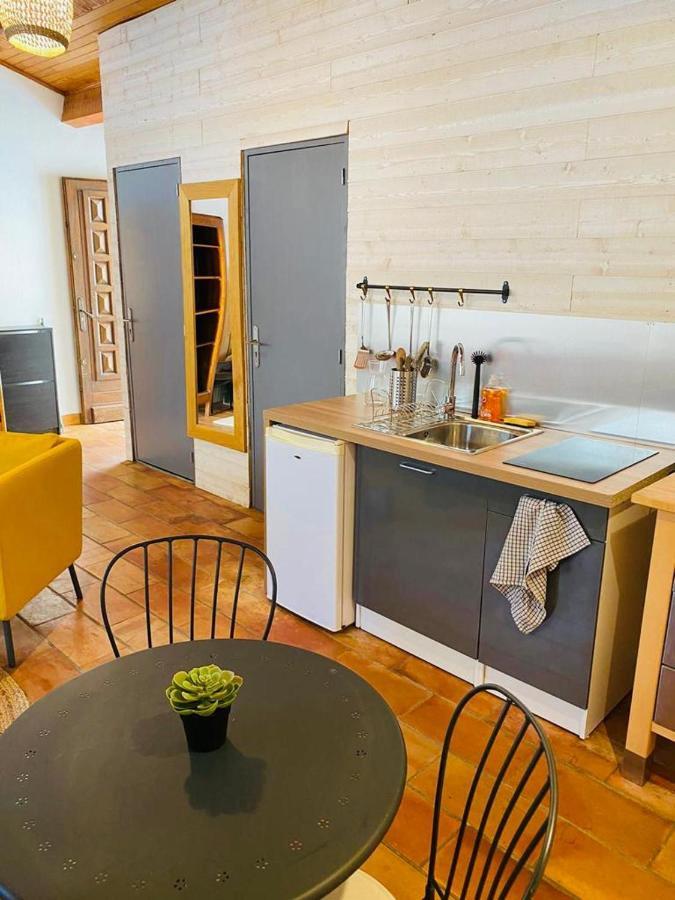 Studio Ile De La Barthelasse A Deux Pas Du Centre Avignon Exterior foto