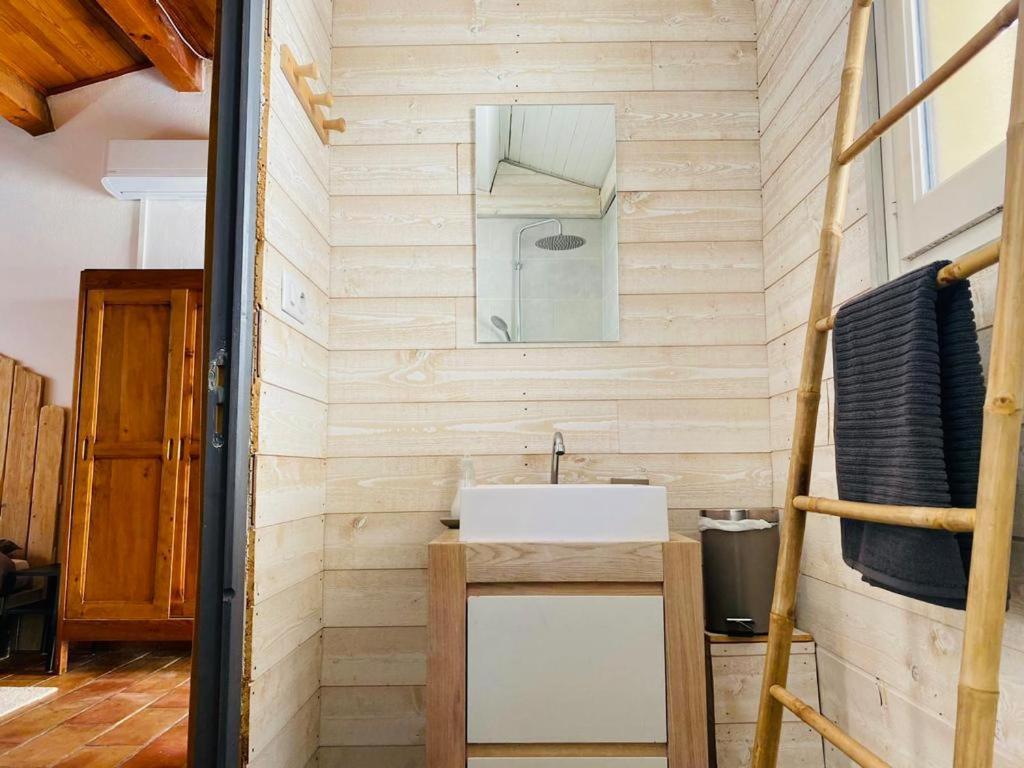 Studio Ile De La Barthelasse A Deux Pas Du Centre Avignon Exterior foto